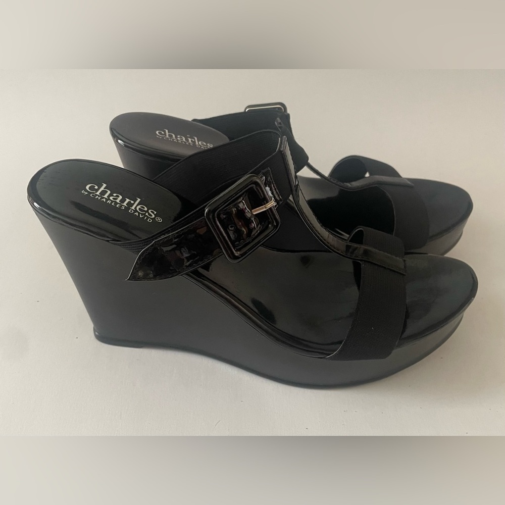 HOST PICK! ⚡️⚡️♥️Charles by Charles David Glossy Black Wedges
